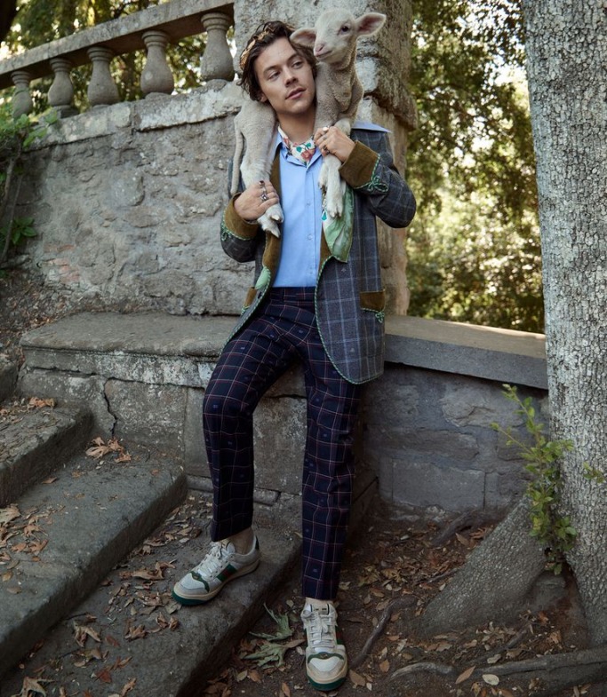 Harry Styles Gucci Campaign 5
